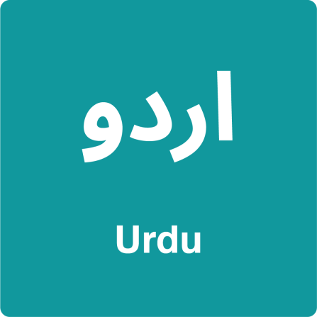 Cambridge International A2 Level Urdu (9686)